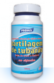 Cartilagem de tubarão